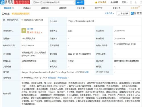 网络技术服务 数字化时代的引擎与守护者